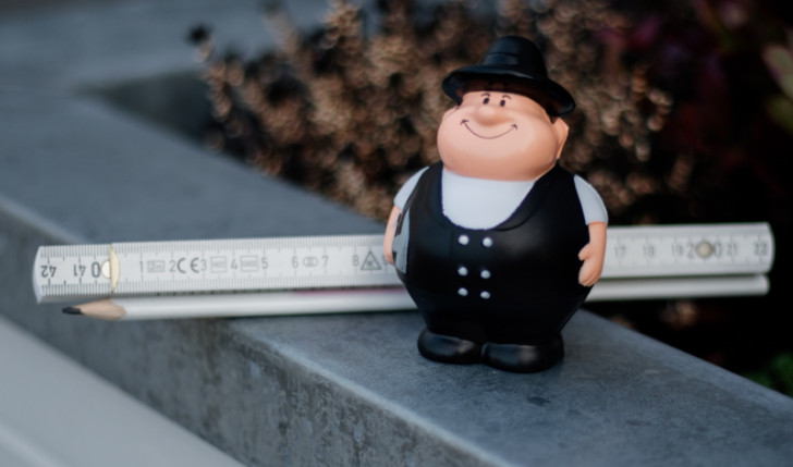 Dach-Check und Dachinspektion